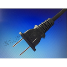 plug（日規(guī)兩插）
